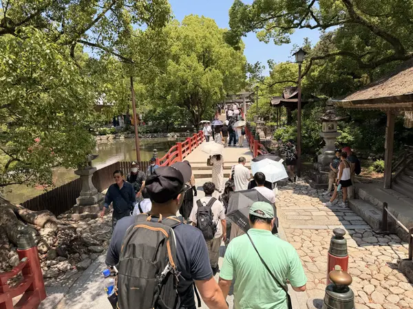 Step photo