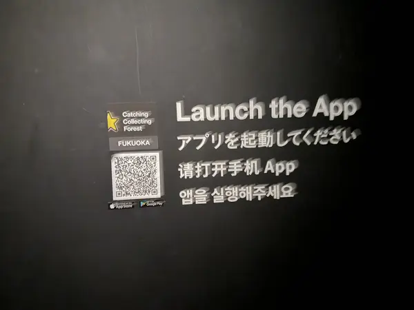 Step photo