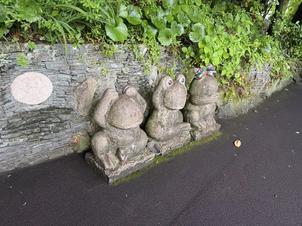 Step photo