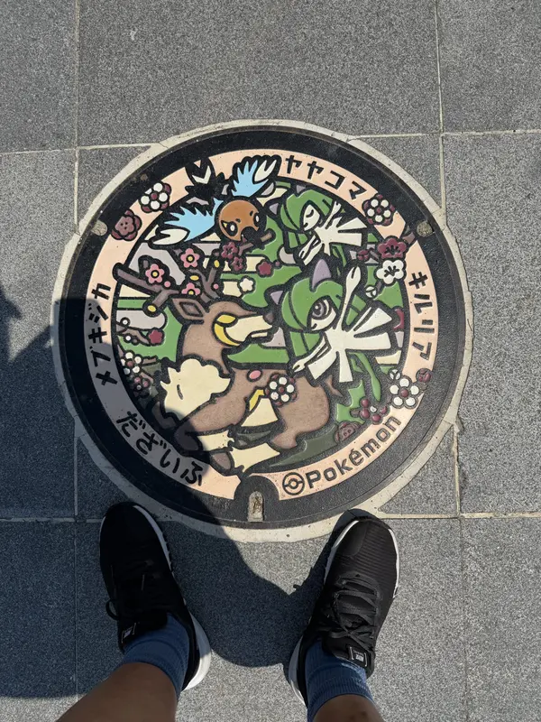 Step photo