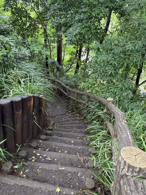 Step photo