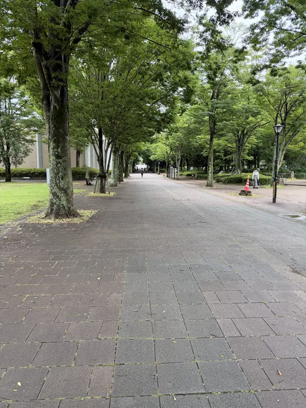 Step photo